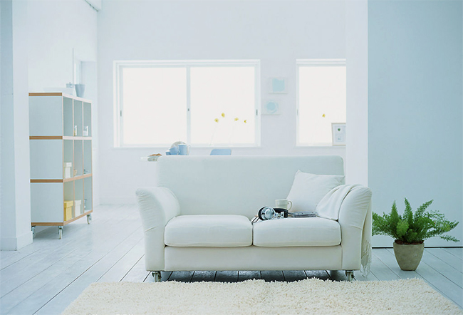 深圳裝修管理軟件市場趨勢分析？